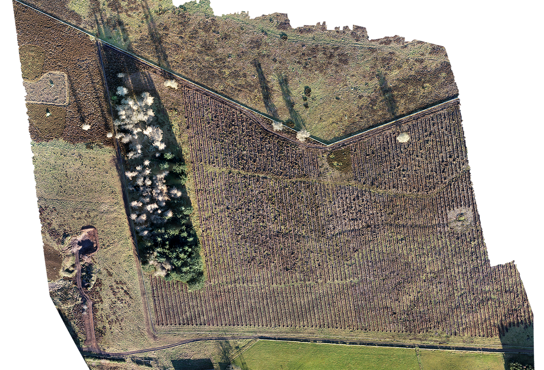 Completed orthorectified aerial photography