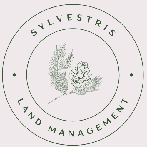 Sylvestris